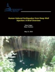 Human-Induced Earthquakes From Deep-Well Injection: A Brief Overview