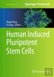 Human Induced Pluripotent Stem Cells