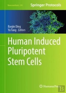 Bertrand.pt - Human Induced Pluripotent Stem Cells