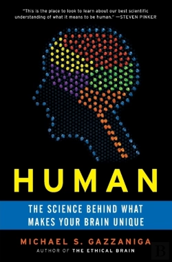Bertrand.pt - Human