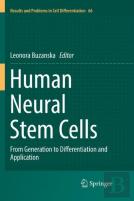 Human Neural Stem Cells