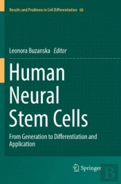 Human Neural Stem Cells