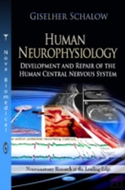 Bertrand.pt - Human Neurophysiology