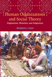 Human Organizations And Social Theory