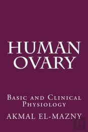 Human Ovary