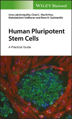 Bertrand.pt - Human Pluripotent Stem Cells