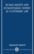 Human Rights And Humanitarian Norms As Customary Law