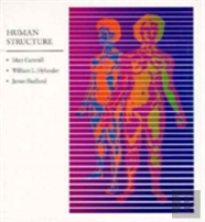 Human Structure