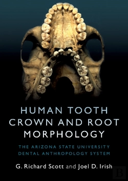 Bertrand.pt - Human Tooth Crown And Root Morphology