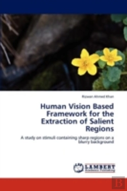 Bertrand.pt - Human Vision Based Framework For The Extraction Of Salient Regions