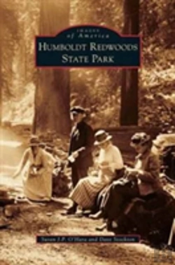 Bertrand.pt - Humboldt Redwoods State Park