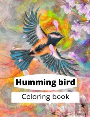 Hummingbird Coloring Book