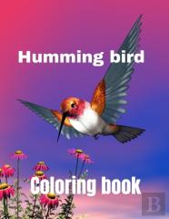 Hummingbird Coloring Book
