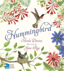 Hummingbird