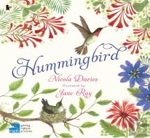 Hummingbird