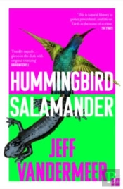 Hummingbird Salamander