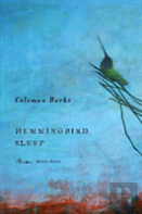 Hummingbird Sleep