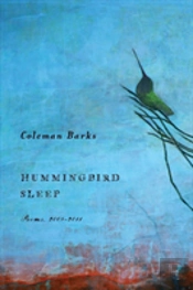 Hummingbird Sleep