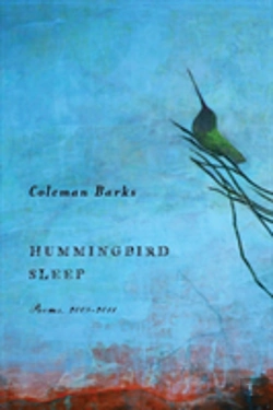 Bertrand.pt - Hummingbird Sleep