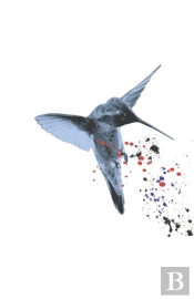Hummingbird Special Edition