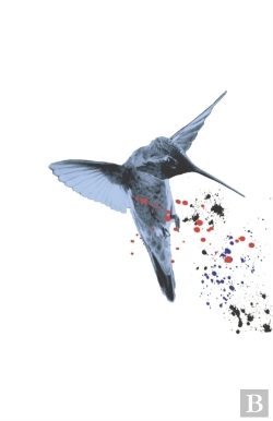 Bertrand.pt - Hummingbird Special Edition