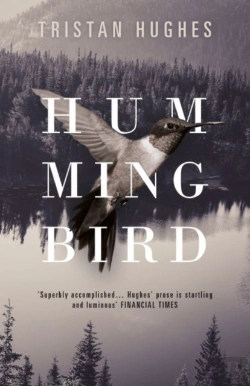 Bertrand.pt - Hummingbird