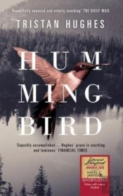 Hummingbird