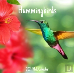 Bertrand.pt - Hummingbirds 2021 Wall Calendar