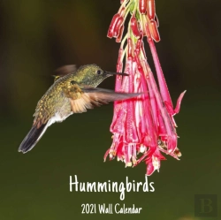 Bertrand.pt - Hummingbirds 2021 Wall Calendar