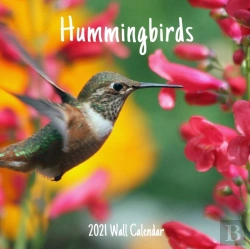 Bertrand.pt - Hummingbirds 2021 Wall Calendar
