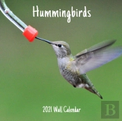 Hummingbirds 2021 Wall Calendar