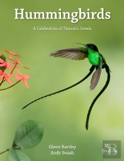 Hummingbirds