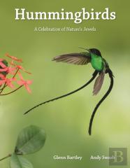 Hummingbirds