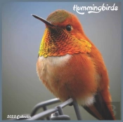 Hummingbirds Calendar 2022