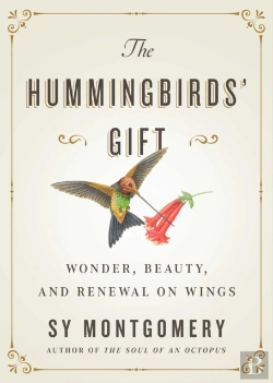 Bertrand.pt - Hummingbirds' Gift