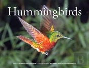 Hummingbirds