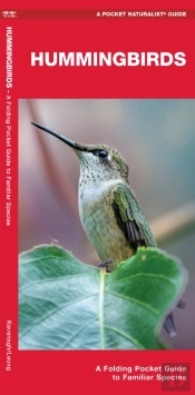 Hummingbirds