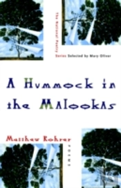 Hummock In The Malookas