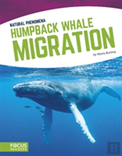 Bertrand.pt - Humpback Whale Migration