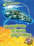 Humpback Whale Migration