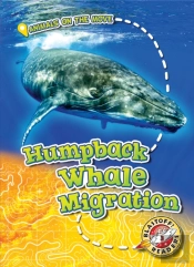 Humpback Whale Migration