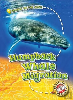 Bertrand.pt - Humpback Whale Migration