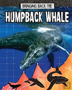 Bertrand.pt - Humpback Whale