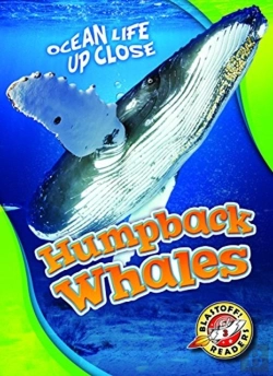 Bertrand.pt - Humpback Whales