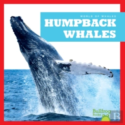 Bertrand.pt - Humpback Whales