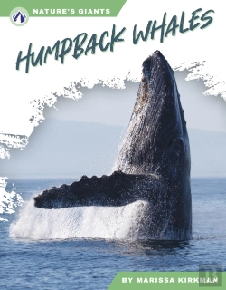 Bertrand.pt - Humpback Whales