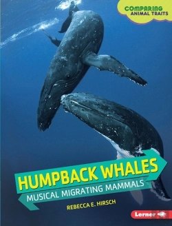 Bertrand.pt - Humpback Whales
