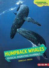 Humpback Whales