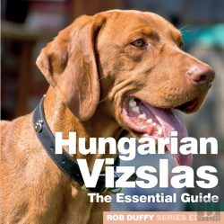 Bertrand.pt - Hungarian Vizslas