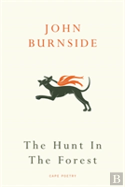 Bertrand.pt - Hunt In The Forest
